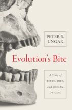 Evolution’s Bite: A story of teeth, diet, and human origins (Peter S. Ungar)