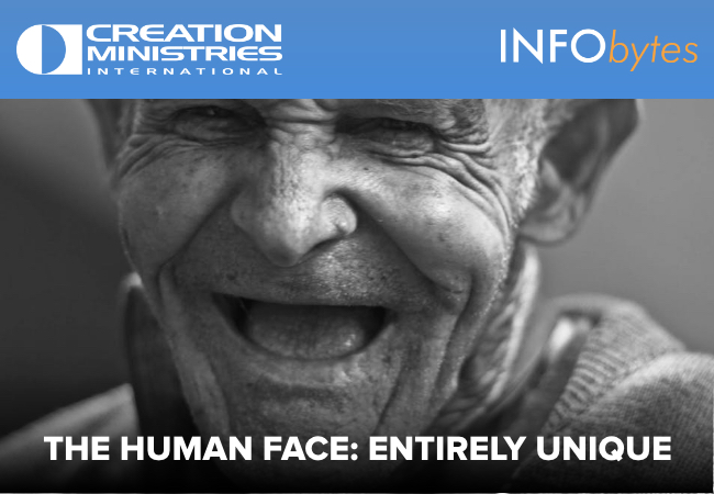 The human face: entirely unique
