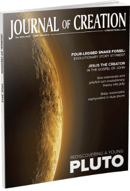 The latest issue of the Journal of Creation