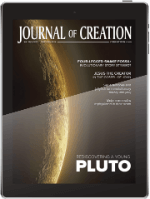 Digital Journal of Creation
